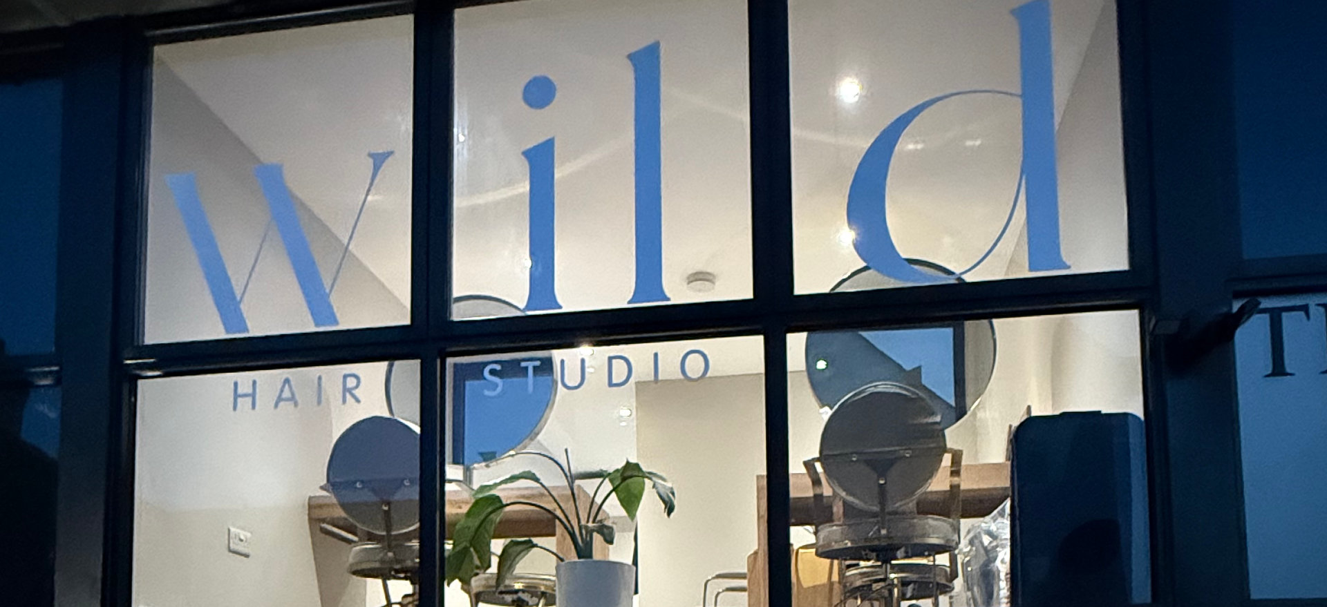 [company name]